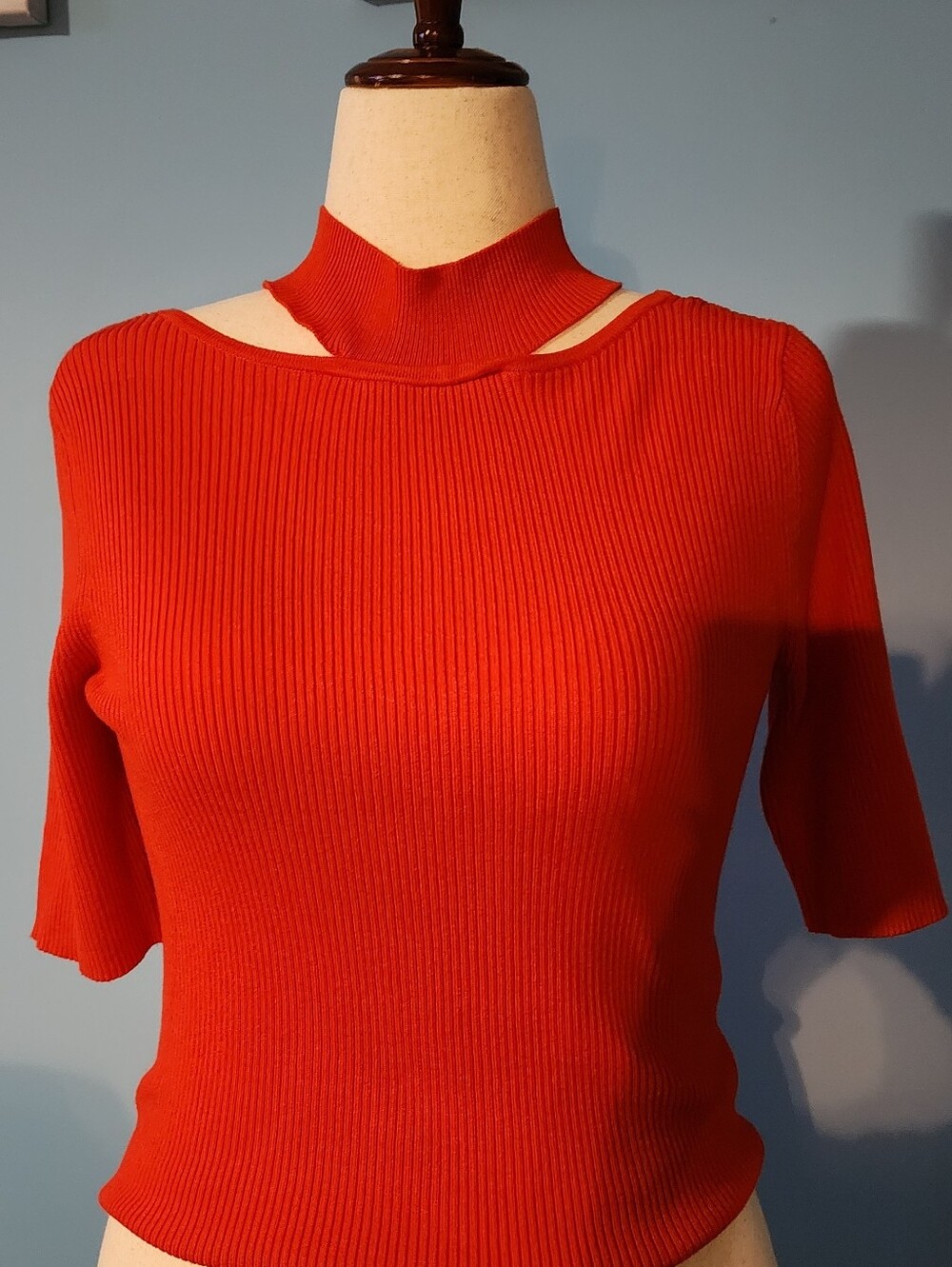 BOLD elements Ribbed Knit Top in Red